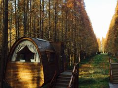 -黄海国家森林公园