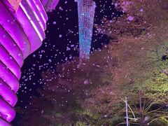 -海心沙亚运公园