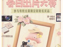 -Sony Store 索尼(上海淮海中路店)