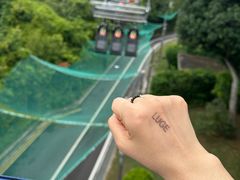 -圣淘沙天际线斜坡滑车