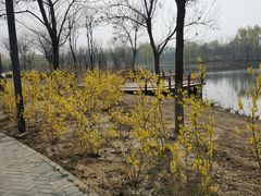 -东郊湿地公园