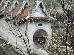 -报恩禅寺