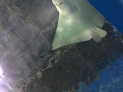 -常州海昌海洋探索馆