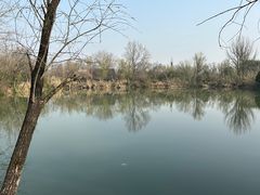 -西溪国家湿地公园