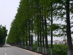 -金山农民画村-枫泾波兰倒置屋