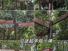 -阳台山森林公园