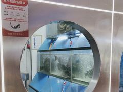 -鱼酷活鱼烤鱼(雨花客厅店)