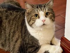 -路路通百辰汽车服务连锁(三合店)