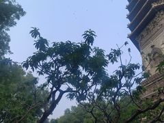 -玲珑塔公园