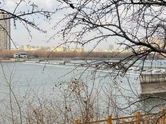 -长白岛森林公园