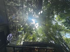 -樾餐厅泰式海鲜火锅(民歌湖店)