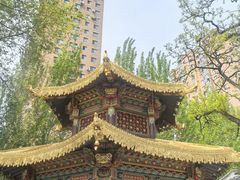 -护国法轮寺