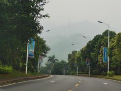 -美的鹭湖森林度假区