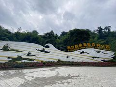 -西双版纳原始森林公园