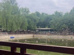 -尚庄度假村·庭台树下·户外烧烤·团建CS·轰趴营地(上庄水库店)