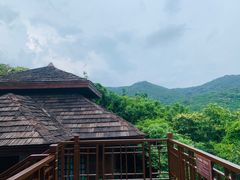 -三亚亚龙湾人间天堂鸟巢度假村