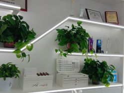 -蕾特恩专业祛痘·皮肤管理