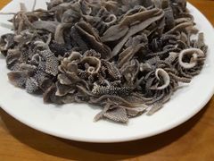 羊散丹-金生隆(六铺炕店)