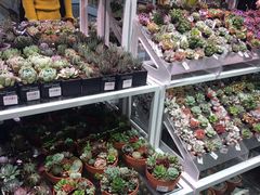 -KKV(深圳宏发大仟里店)