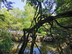 -绮园景区