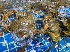 -东沙小镇主题餐厅(下沙店)