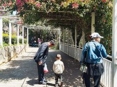 -南诏风情岛