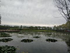 -绿堤公园