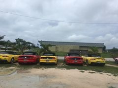 -丽姐租车