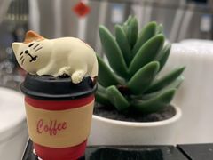 -缶乐FOLLOW咖啡