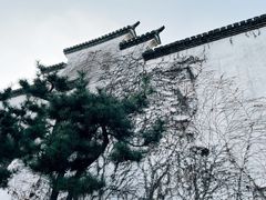 -朵云书院·广富林店