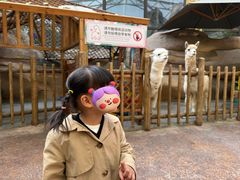 -杭州开元森泊度假乐园