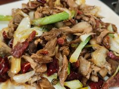 -蘑统田下·野生菌火锅