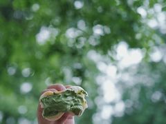 -茅家埠