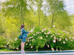 -长春市南湖公园