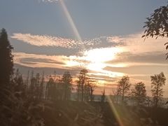 -呈贡滇池生态湿地公园