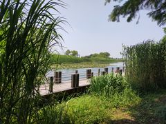 -苏州太湖湖滨国家湿地公园