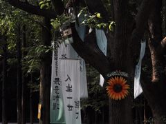 -天生桥景区