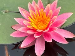 -白鹭湾湿地公园