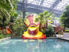 -横店影视城梦幻谷园区