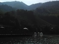 -天台国家森林公园水上茶乡九鹏溪