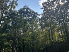 -阳台山自然风景区