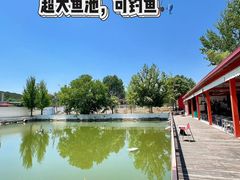 -向外鱼乐·土菜·虹鳟鱼