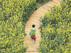 -中国天府农业博览园