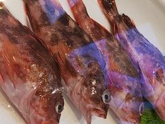 -妈妈菜舟山海鲜(定海古城店)