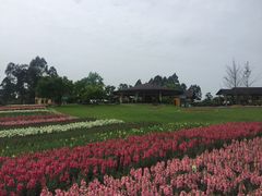-保利石象湖景区