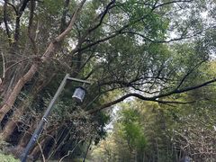 -杭州半山国家森林公园