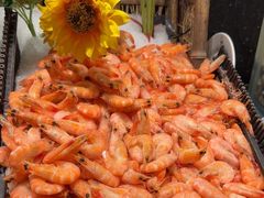 -钱小奴创意自助餐厅·原切谷饲安格斯畅吃(诸暨万风新天地店)