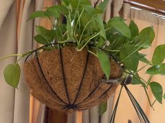 -观盐·盐帮菜(官园桥店)