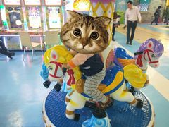 -嘉文梦想世界(SM天津滨海城市广场店)