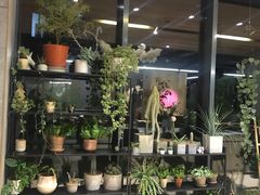 -山下C5cafe(惠通时代广场店)